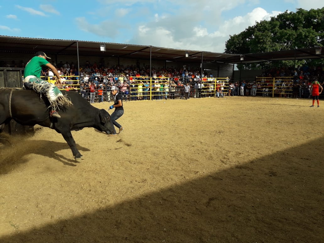 Toros2